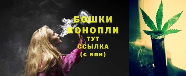 эйфоретик Пестово