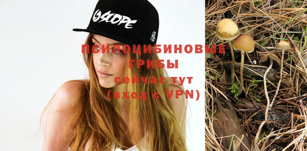 MDMA Premium VHQ Пересвет